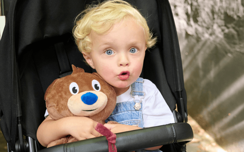 Tentez de gagner un ourson exclusif Bambix